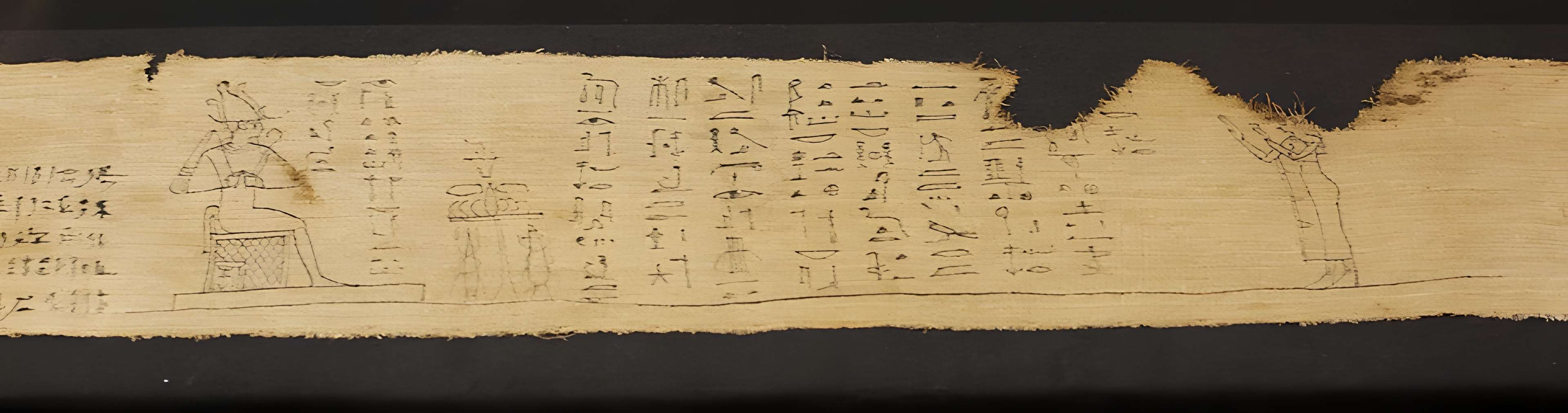 Musée Champollion - Les Écritures du monde