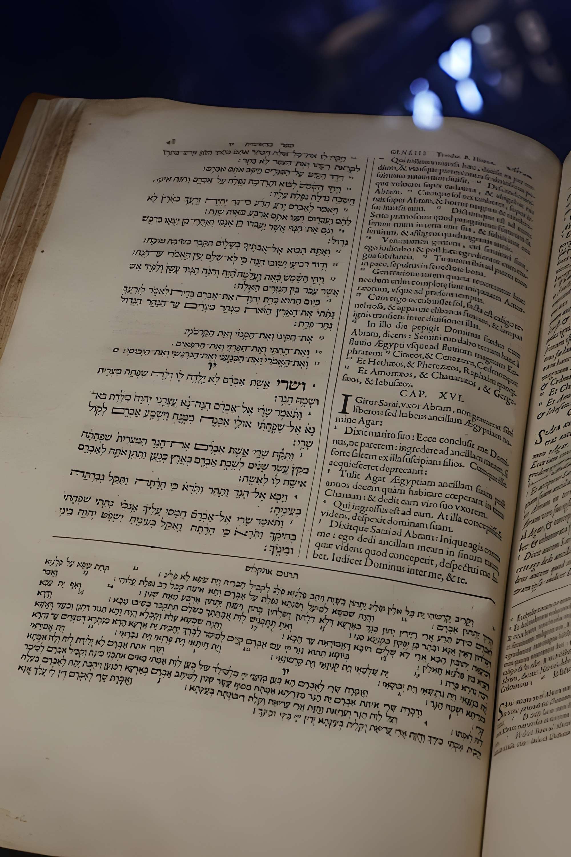 Musée Champollion - Les Écritures du monde