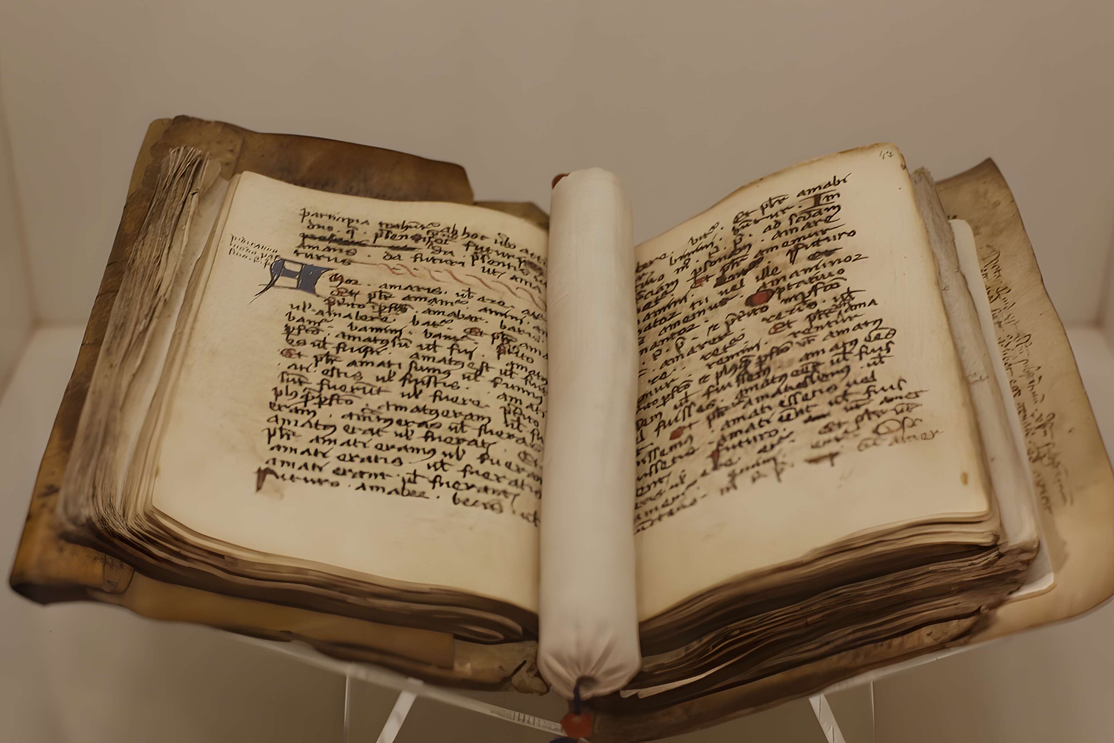 Musée Champollion - Les Écritures du monde