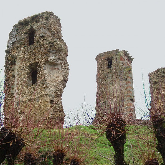 Photo de Tour Anne-de-Bretagne à Montfort-lAmaury