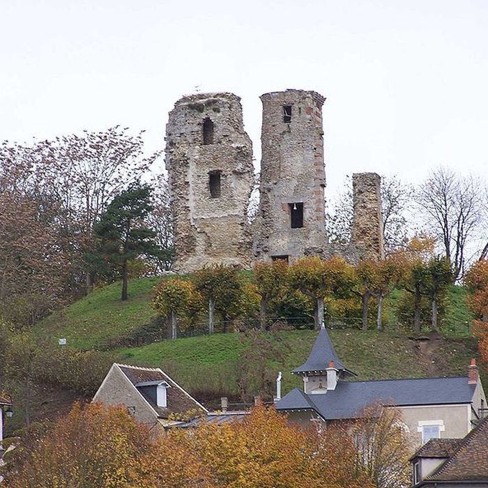 Photo de Tour Anne-de-Bretagne à Montfort-lAmaury