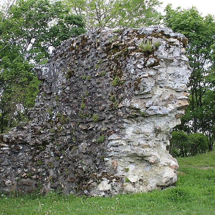 Photo de Tour Anne-de-Bretagne à Montfort-lAmaury