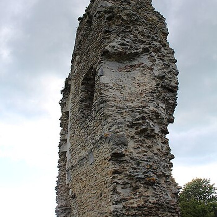 Photo de Tour Anne-de-Bretagne à Montfort-lAmaury