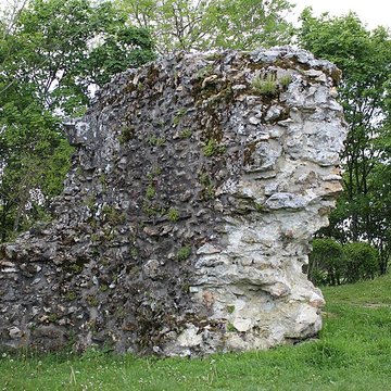 Tour Anne-de-Bretagne à Montfort-lAmaury