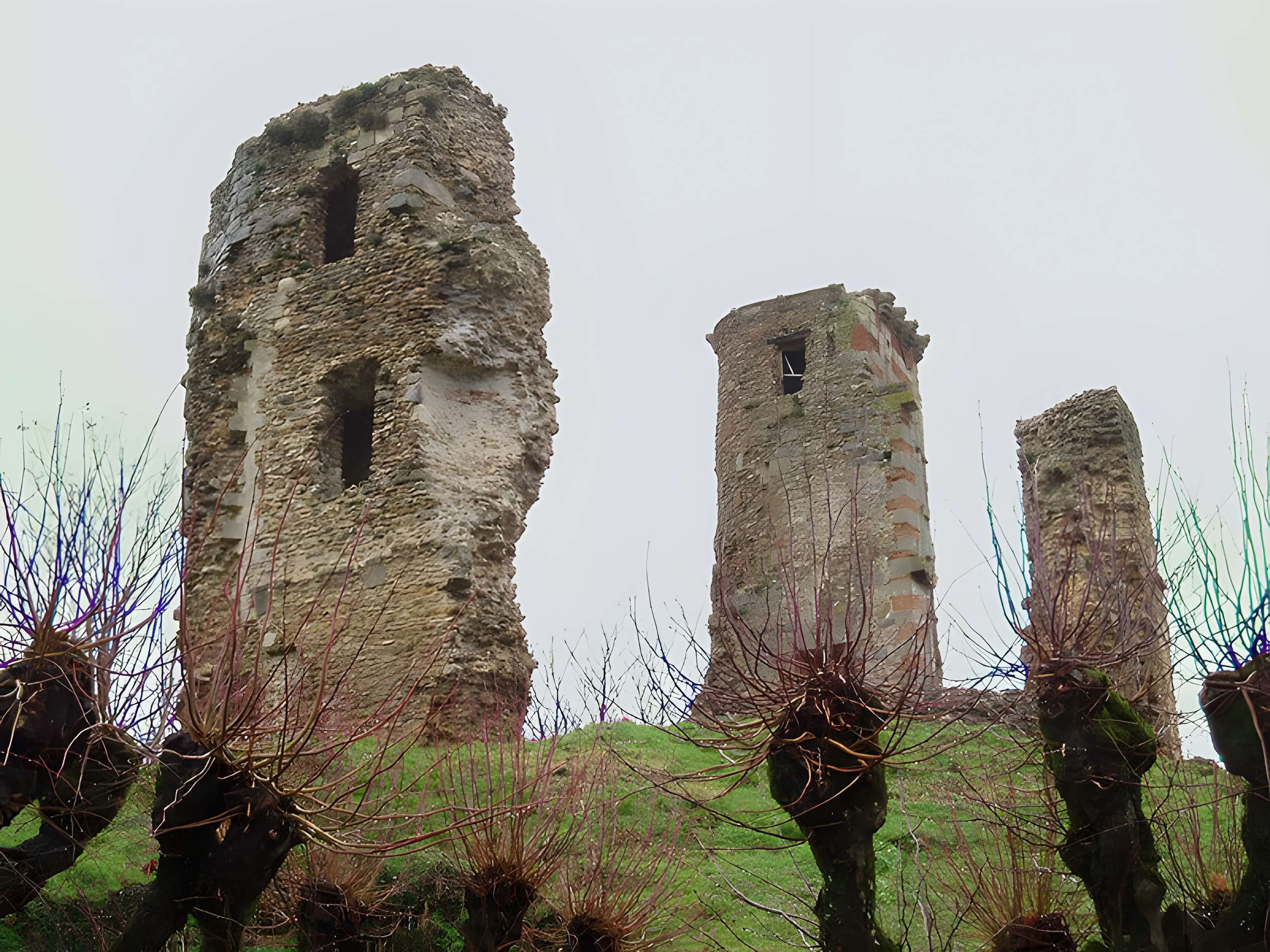Tour Anne-de-Bretagne à Montfort-l'Amaury 