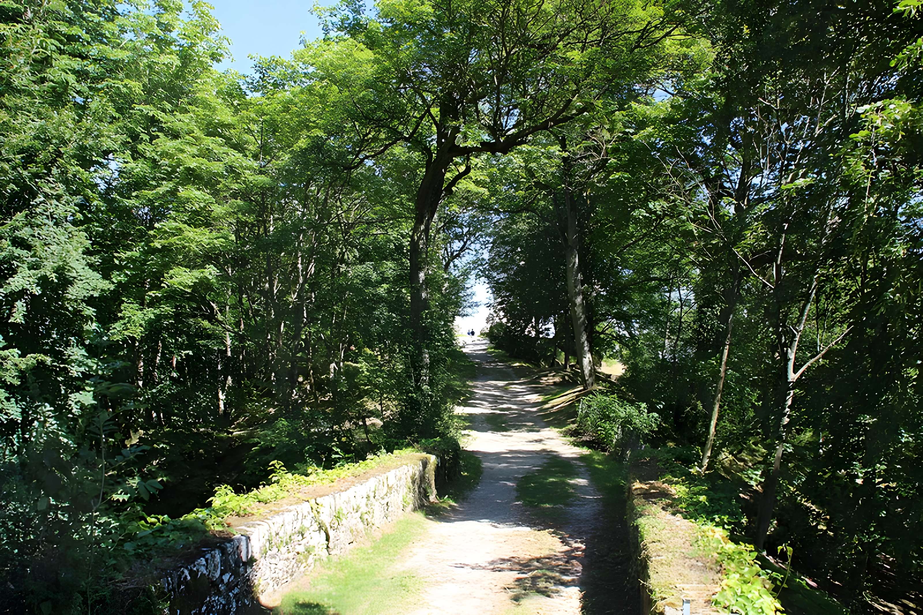 Tour Anne-de-Bretagne à Montfort-l'Amaury