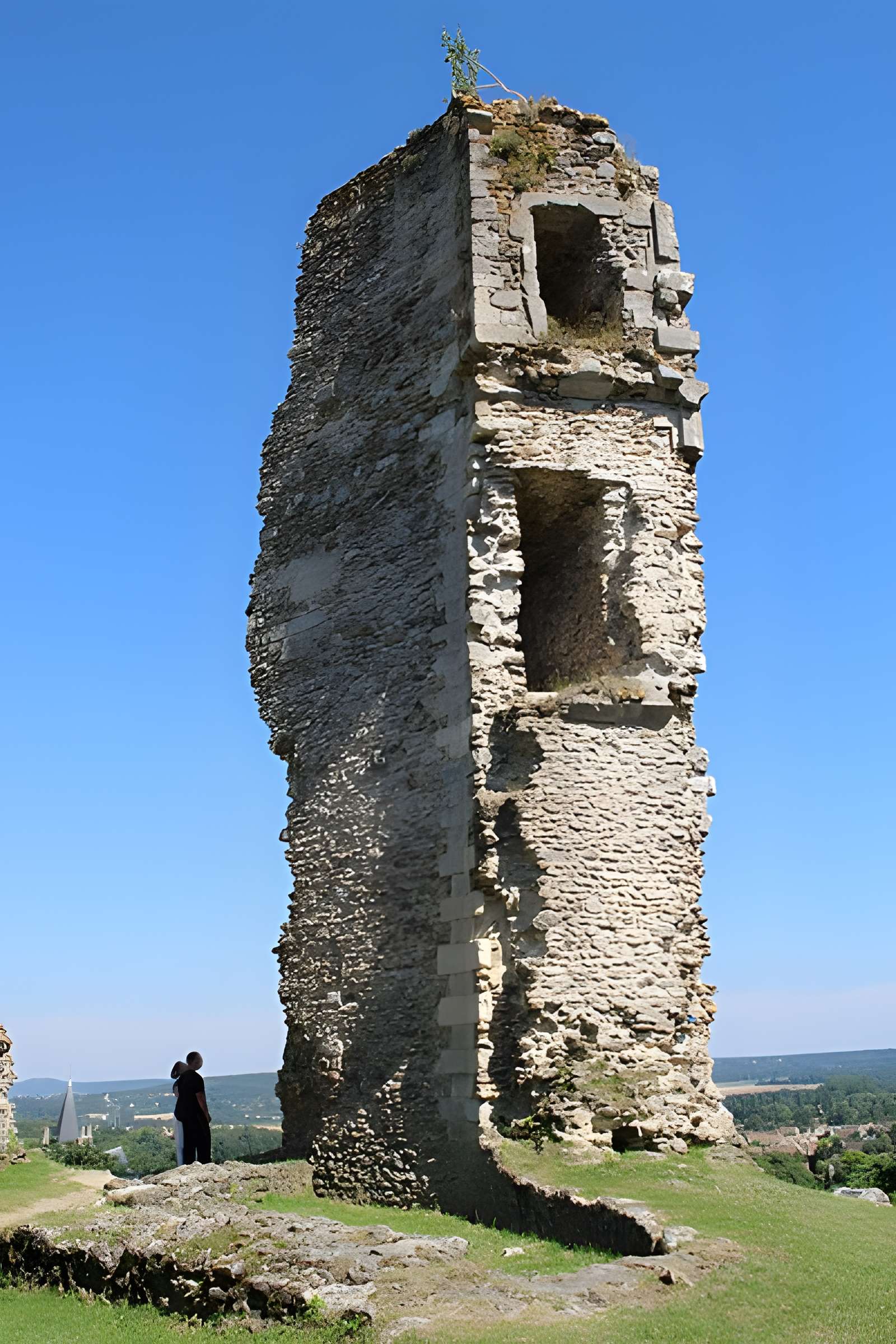 Tour Anne-de-Bretagne à Montfort-l'Amaury