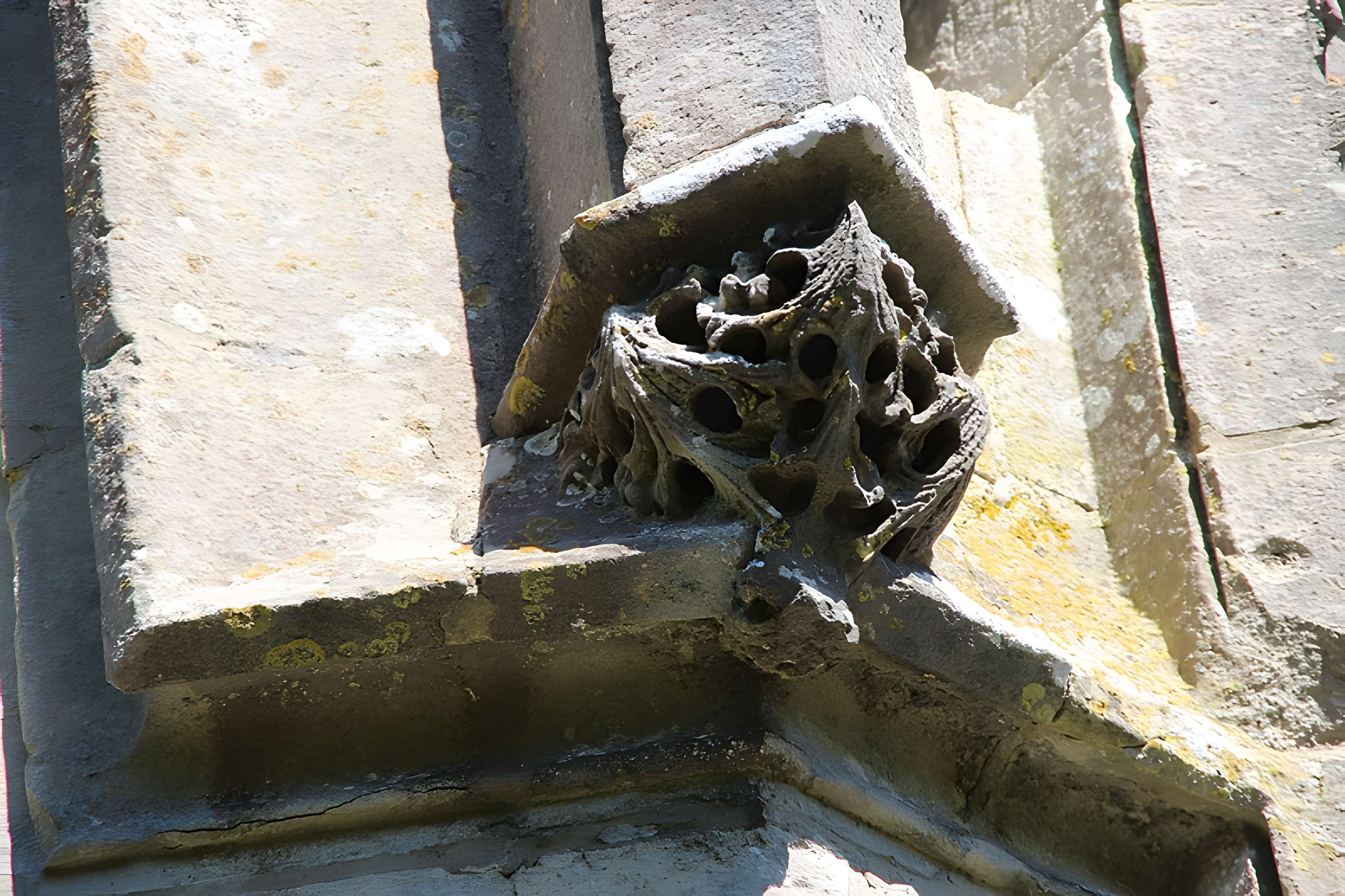 Tour Anne-de-Bretagne à Montfort-l'Amaury