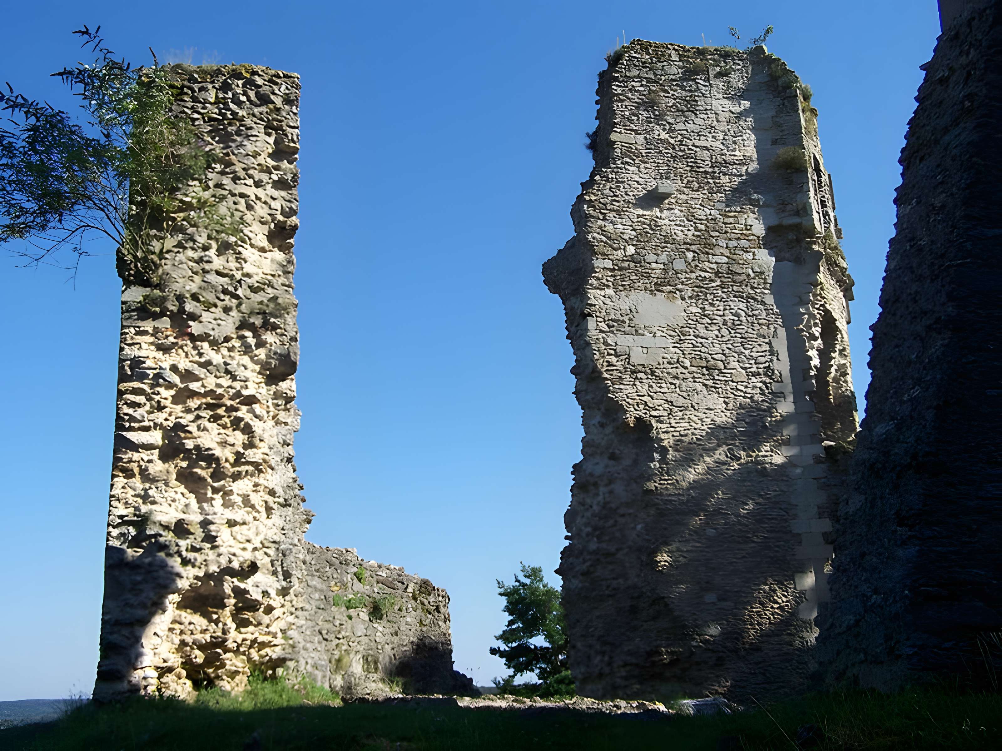 Tour Anne-de-Bretagne à Montfort-l'Amaury