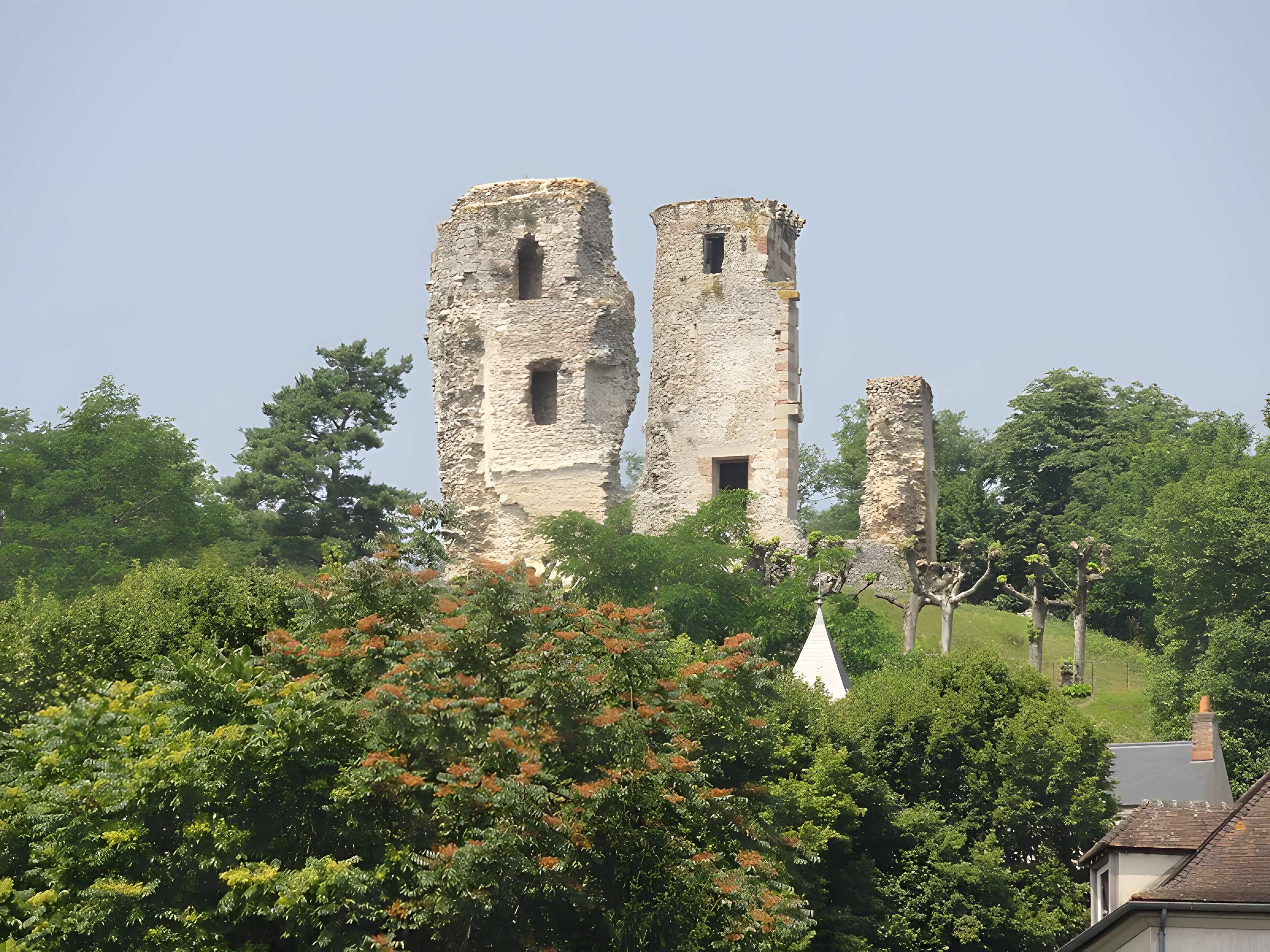 Tour Anne-de-Bretagne à Montfort-l'Amaury