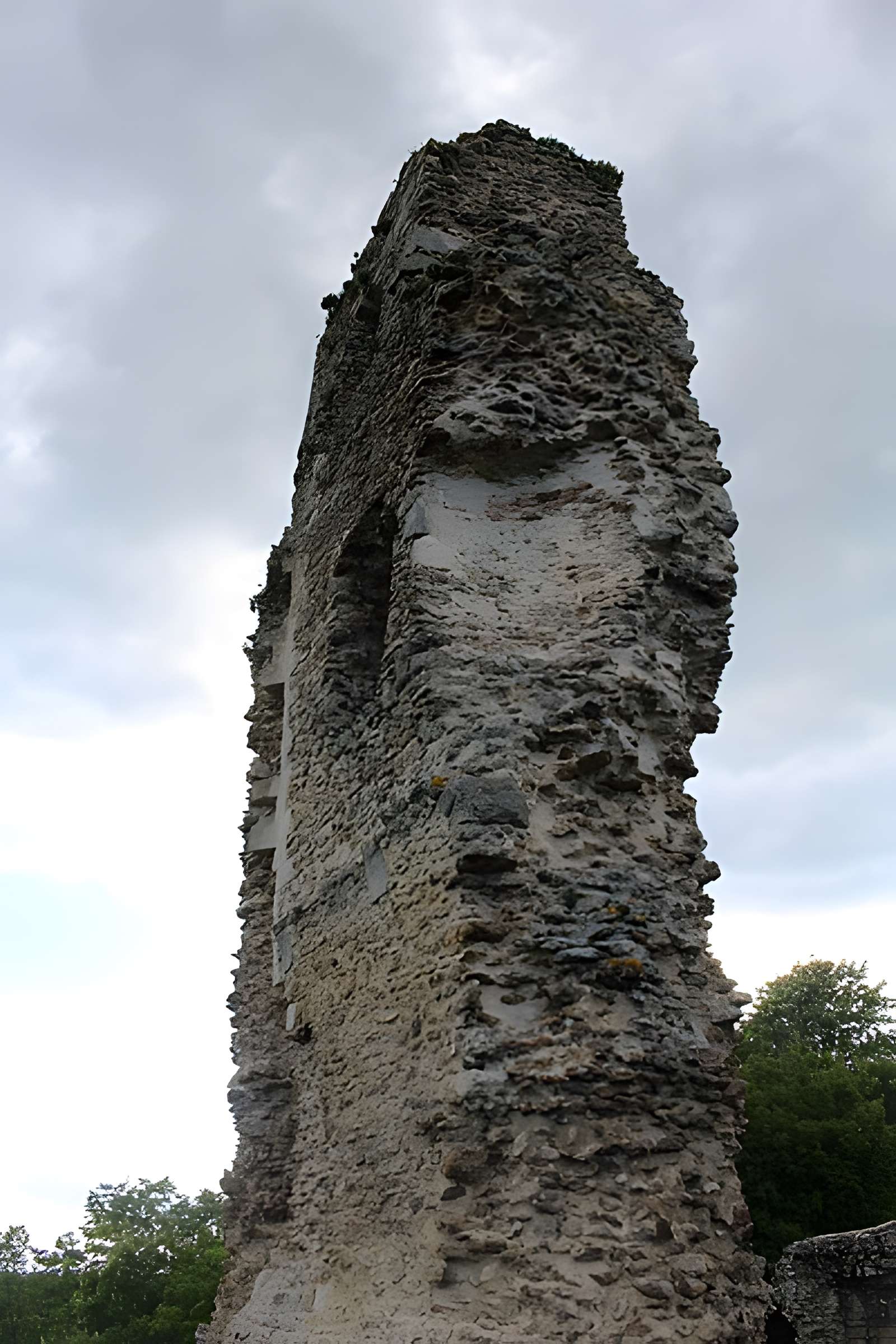 Tour Anne-de-Bretagne à Montfort-l'Amaury