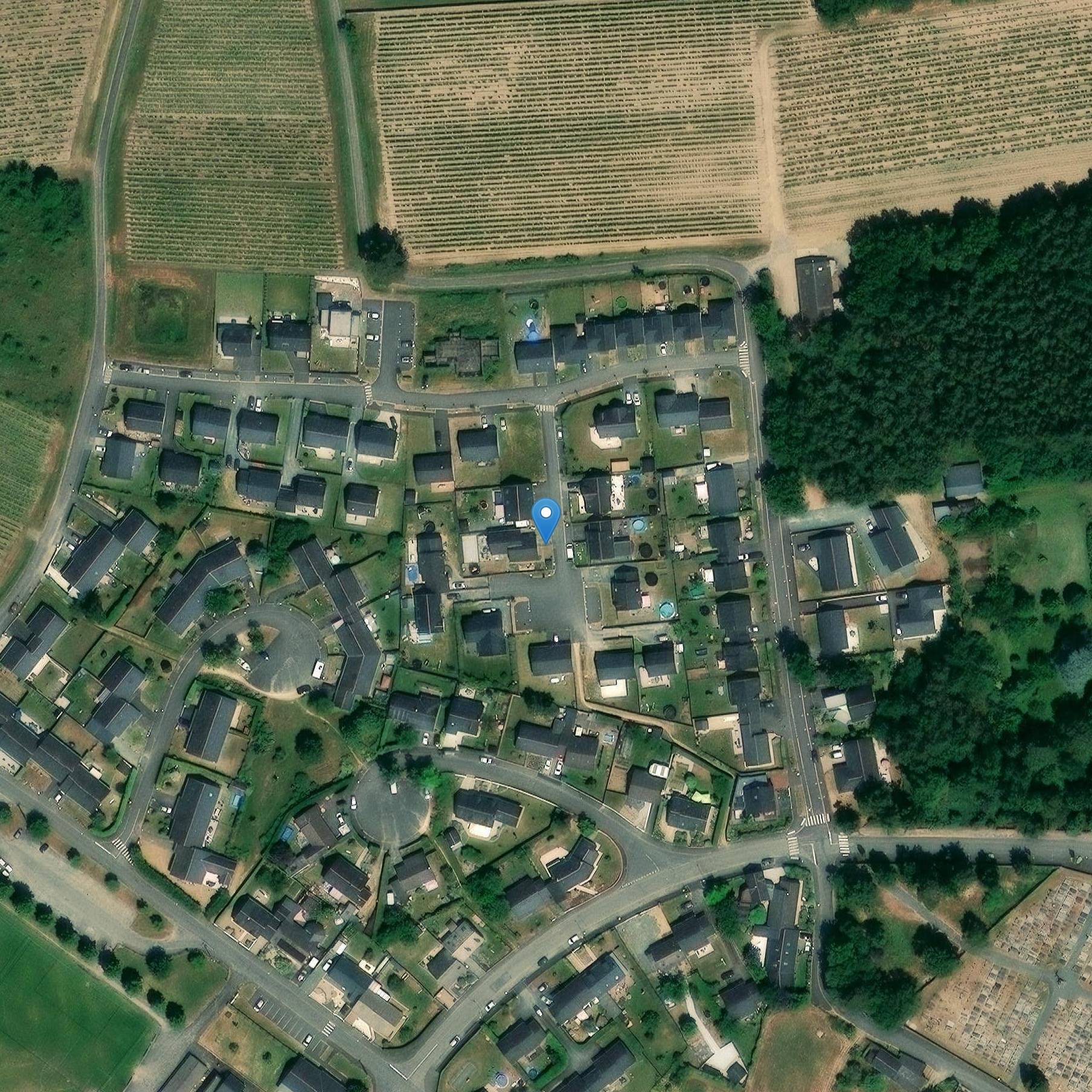 Photo de Vine and Wine Museum of Anjou