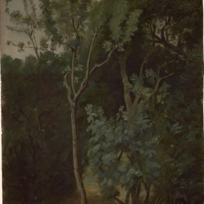 Photo de Musée Pincé