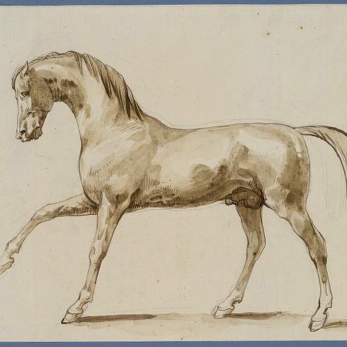 Photo de Musée Pincé