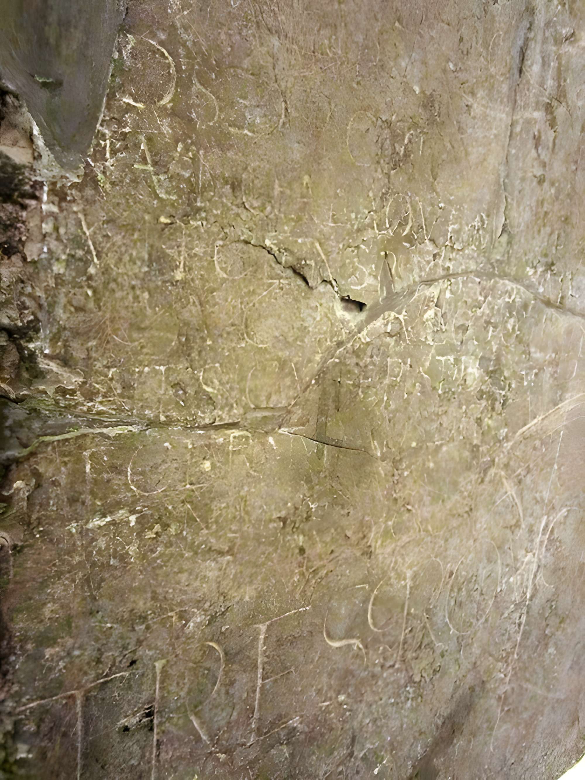 Musée d'art et d'histoire