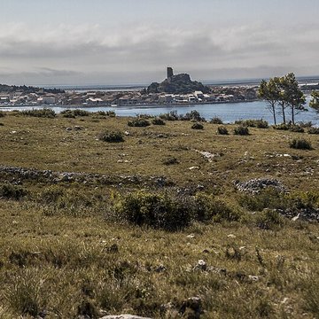 Tour Barberousse de Gruissan