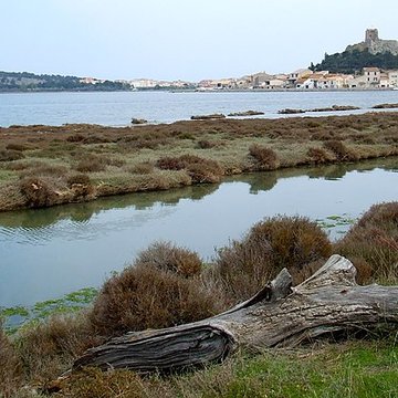 Tour Barberousse de Gruissan
