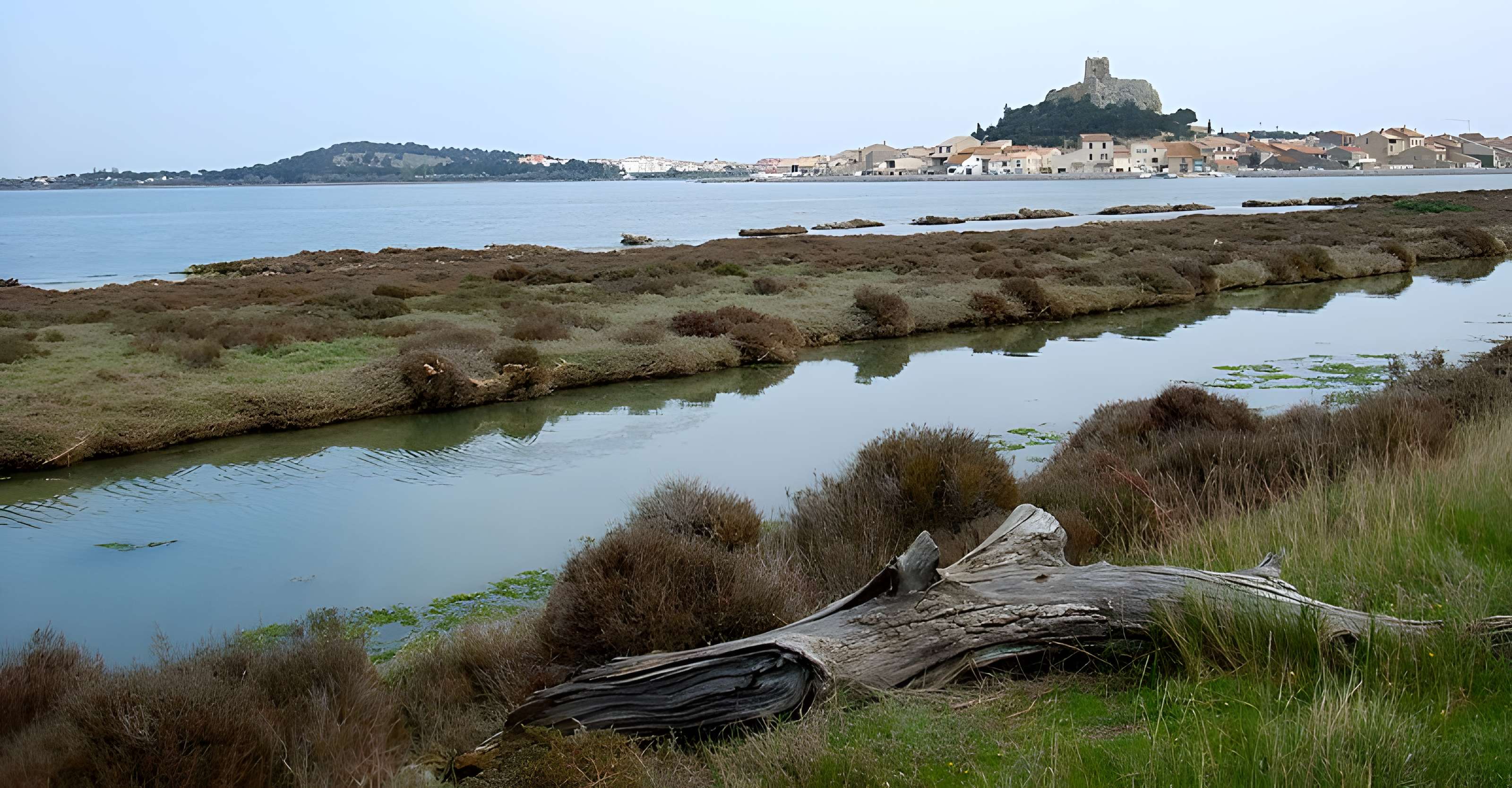 Tour Barberousse de Gruissan