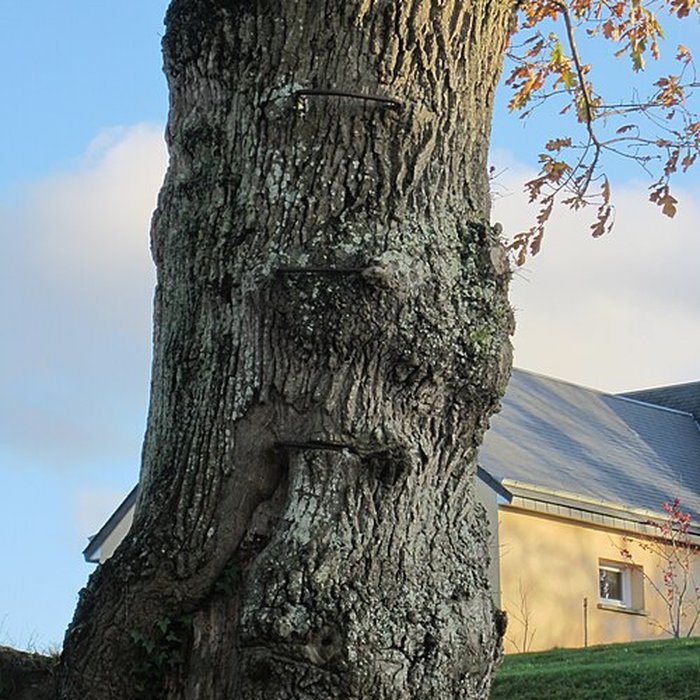 Photo de Musée du bocage normand, ferme du bois Jugan