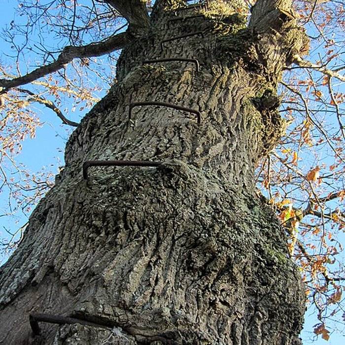 Photo de Musée du bocage normand, ferme du bois Jugan