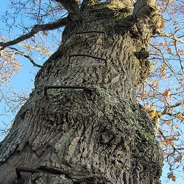 Musée du bocage normand, ferme du bois Jugan