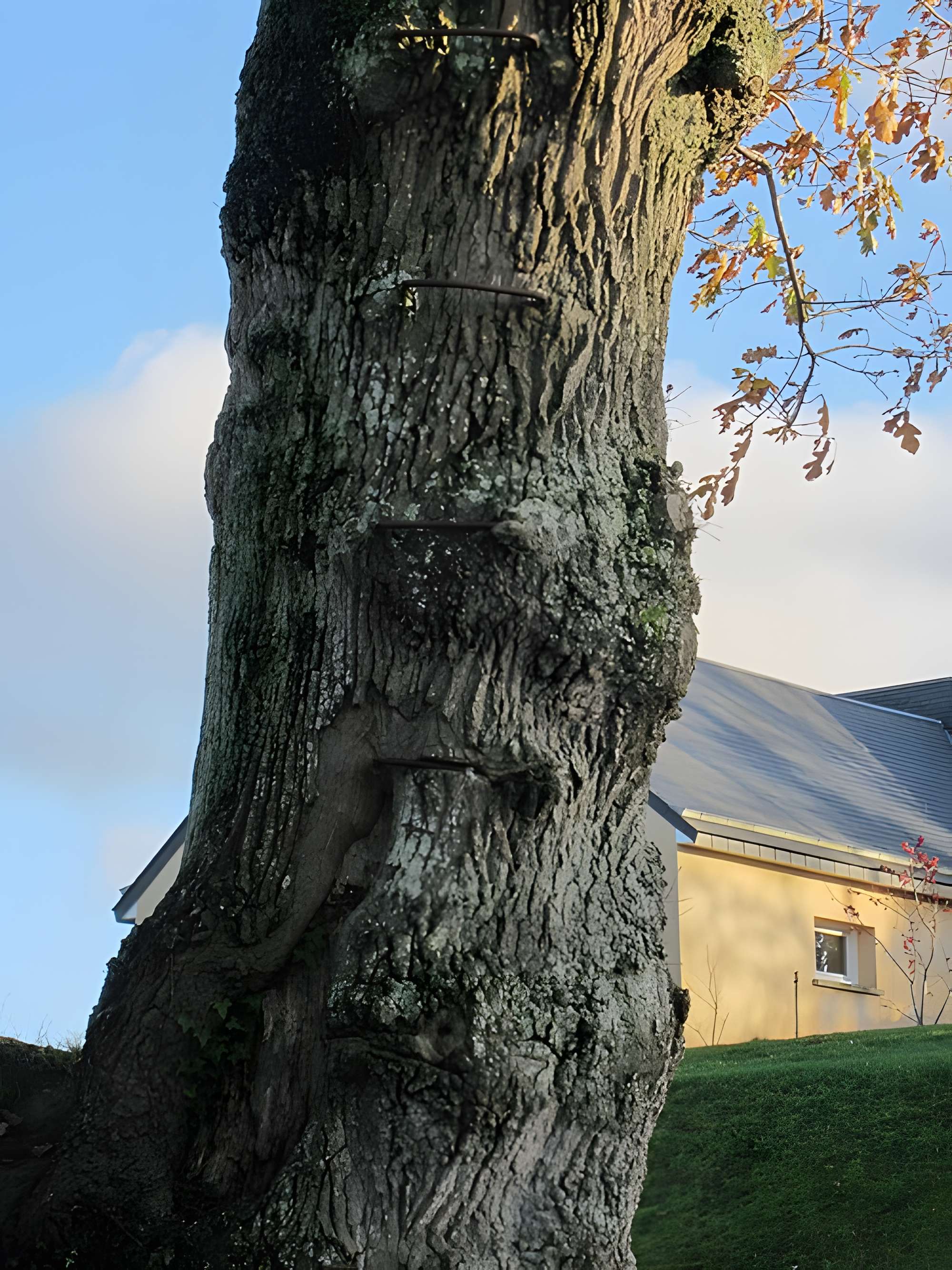 Musée du bocage normand, ferme du bois Jugan