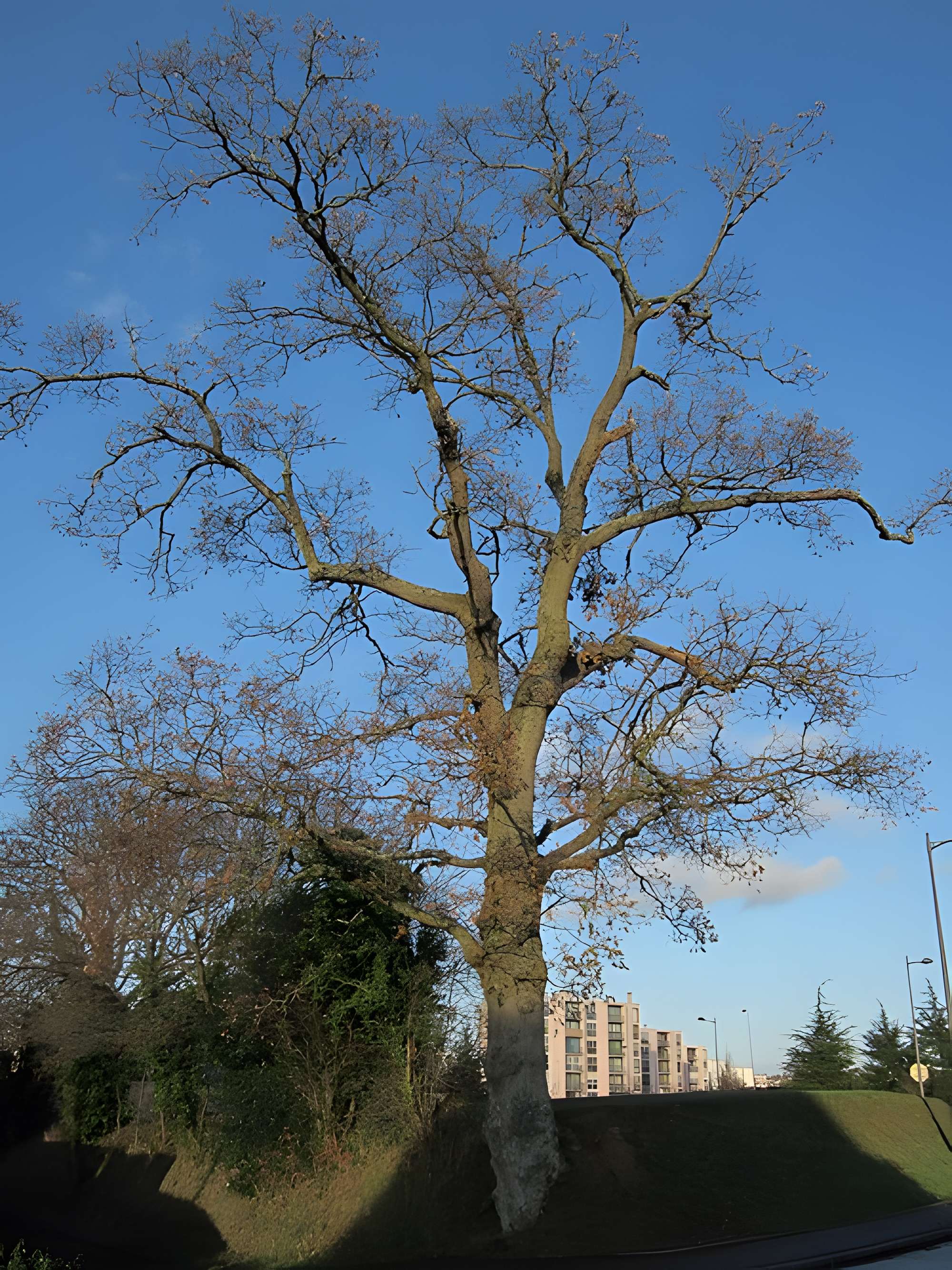 Musée du bocage normand, ferme du bois Jugan