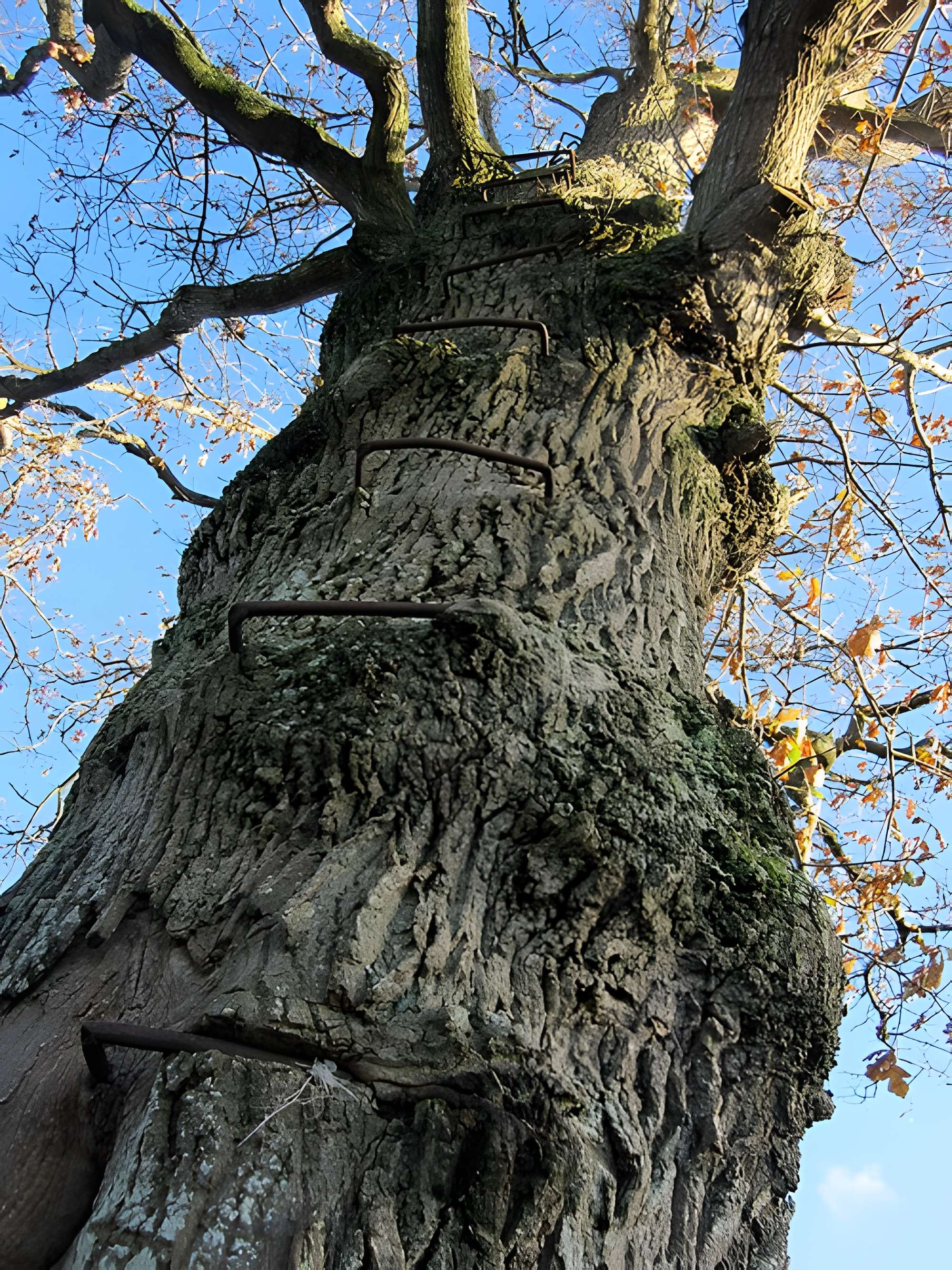 Musée du bocage normand, ferme du bois Jugan
