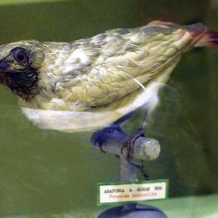 Photo de Musée municipal