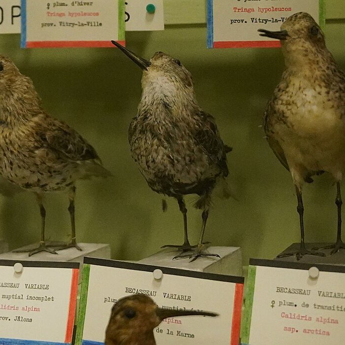 Photo de Musée municipal