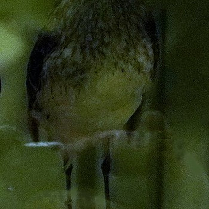 Photo de Musée municipal