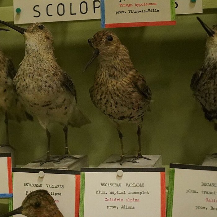 Photo de Musée municipal