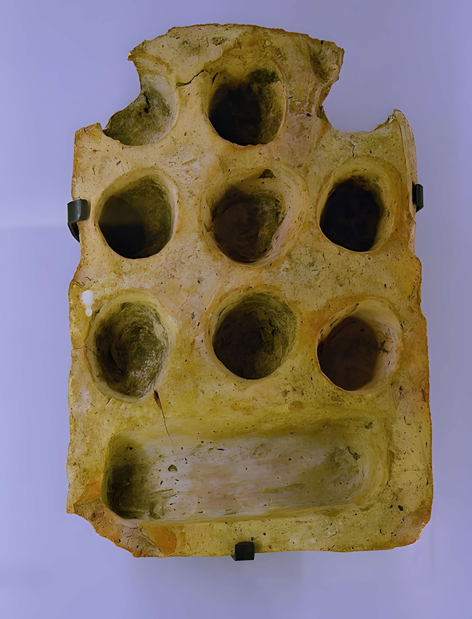 Musée de l'Argonne Viard-Morel