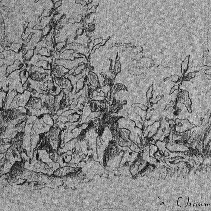 Photo de Musée des Beaux-Arts et dArchéologie