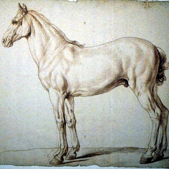 Photo de Musée des Beaux-Arts et dArchéologie