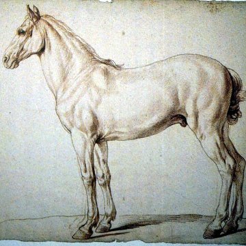 Musée des Beaux-Arts et dArchéologie