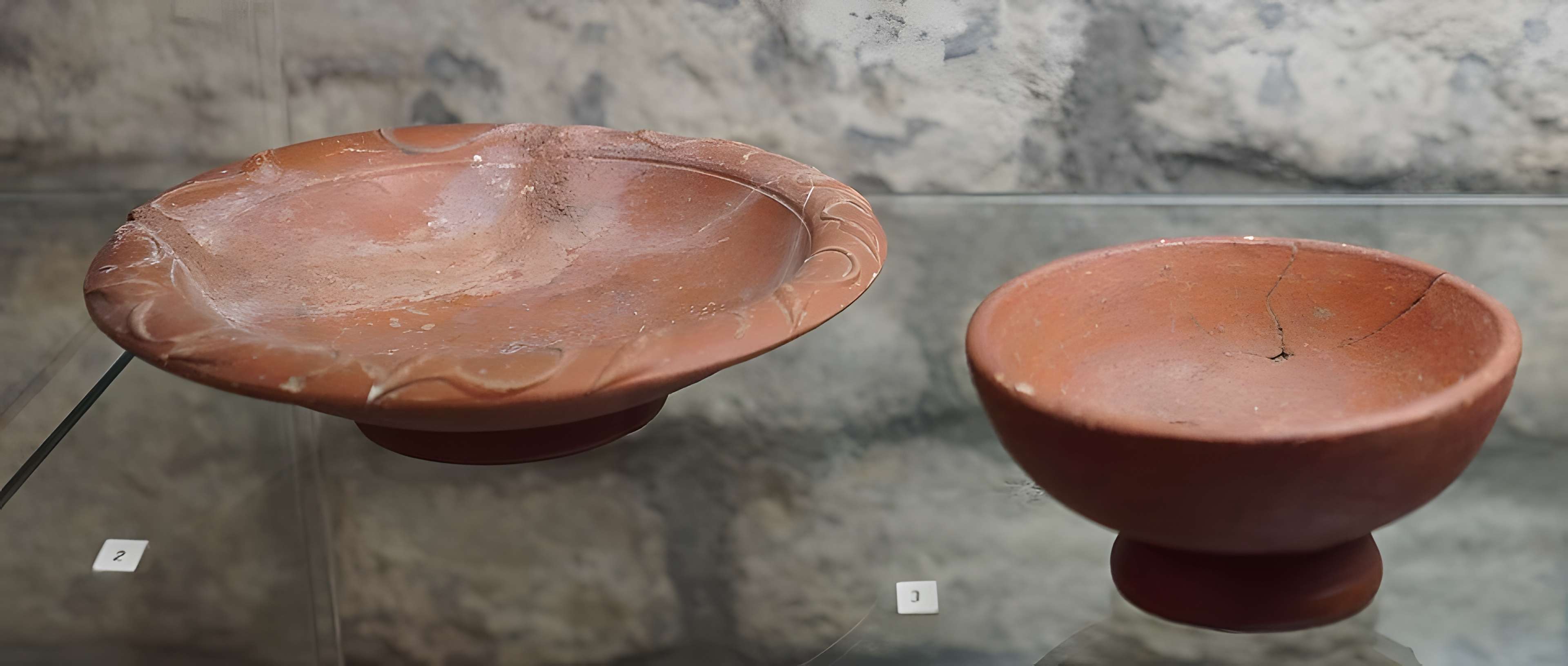 Musée des Beaux-Arts et d'Archéologie