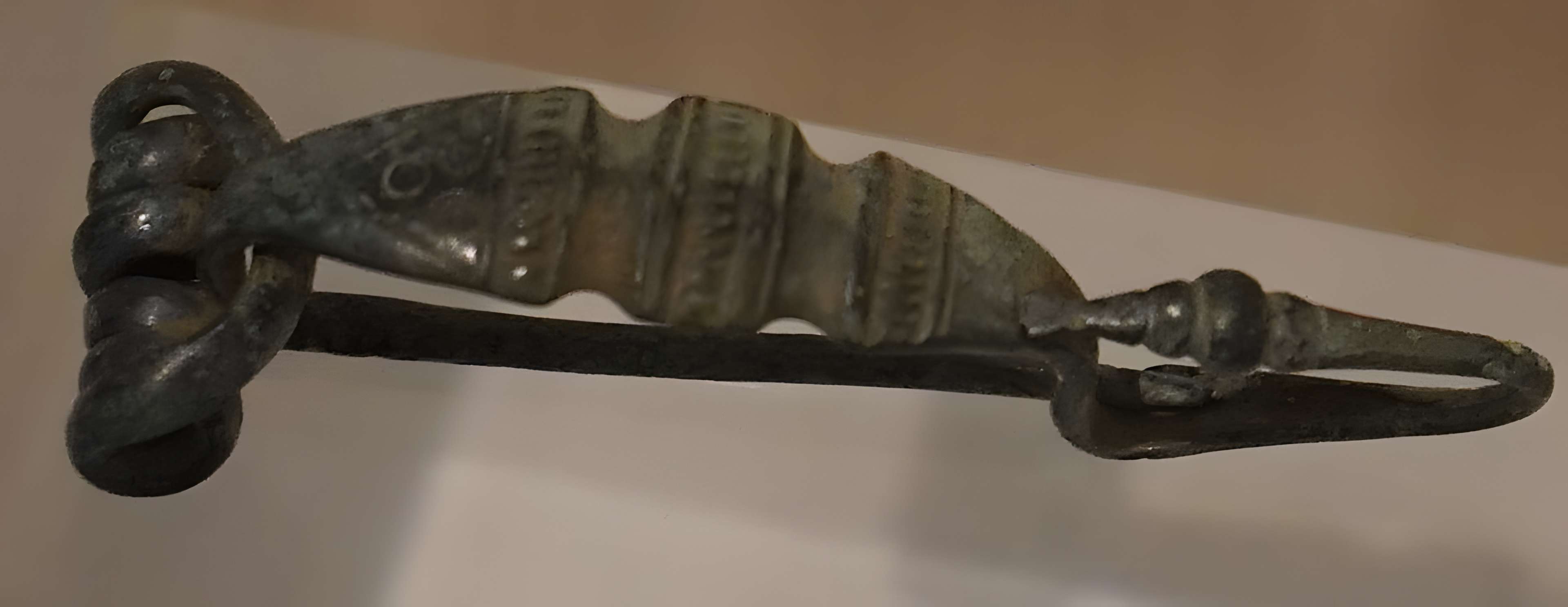 Musée des Beaux-Arts et d'Archéologie