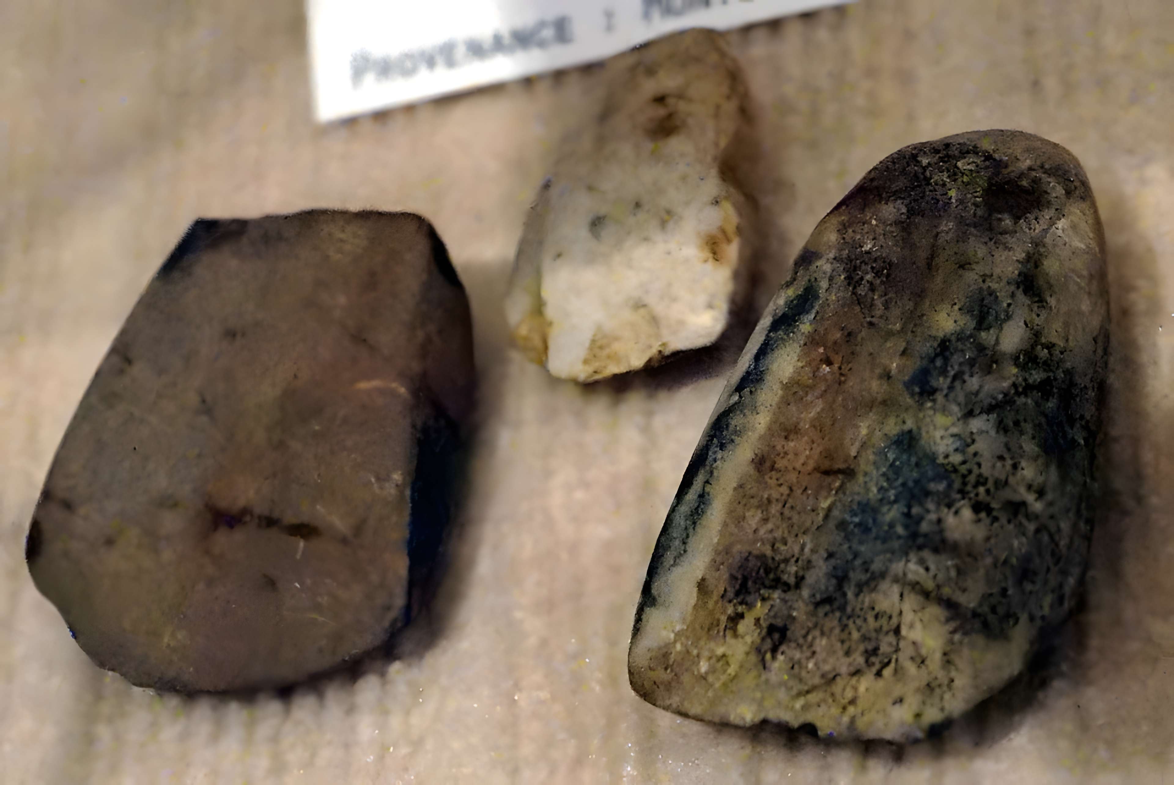 Musée des Beaux-Arts et d'Archéologie