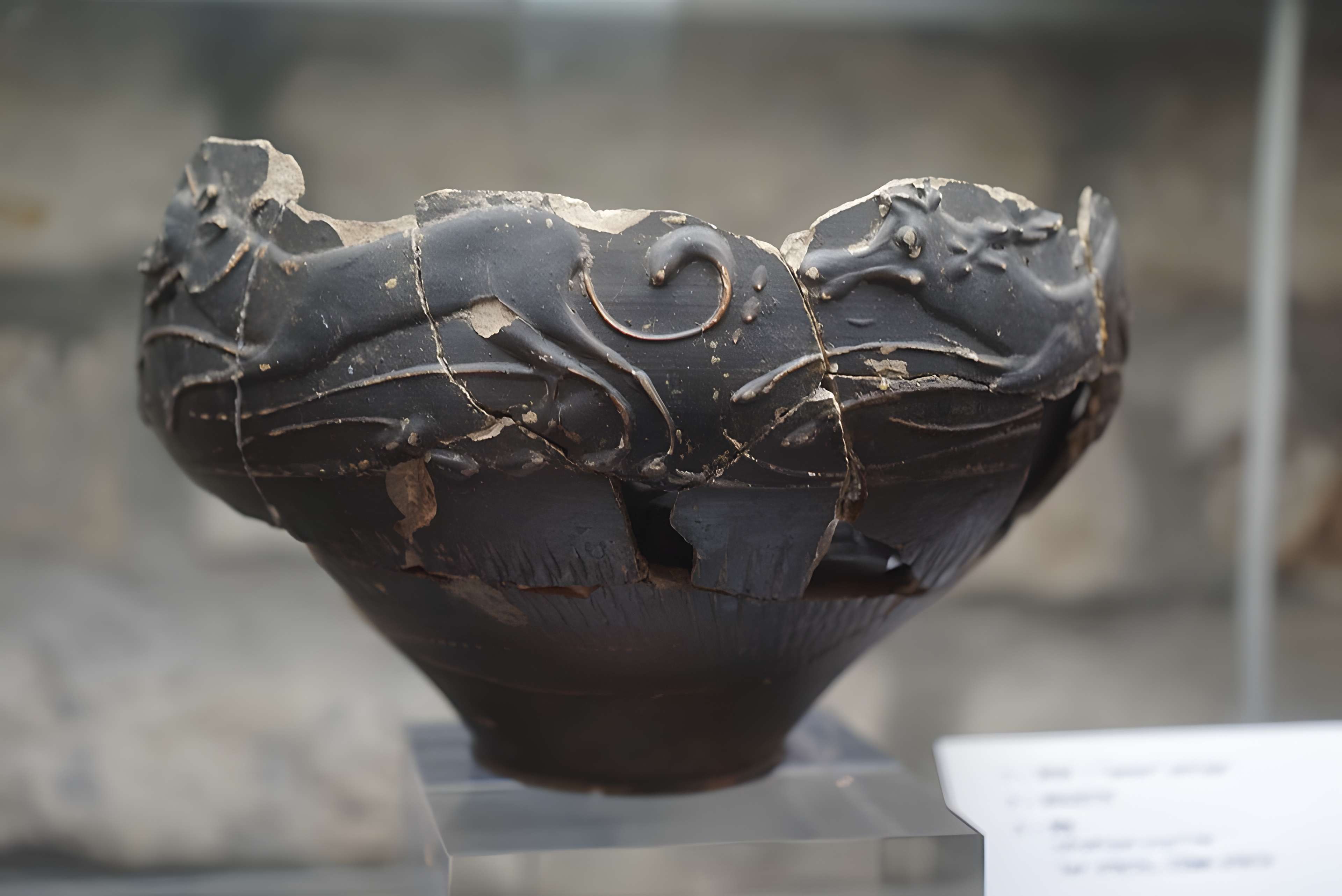 Musée des Beaux-Arts et d'Archéologie