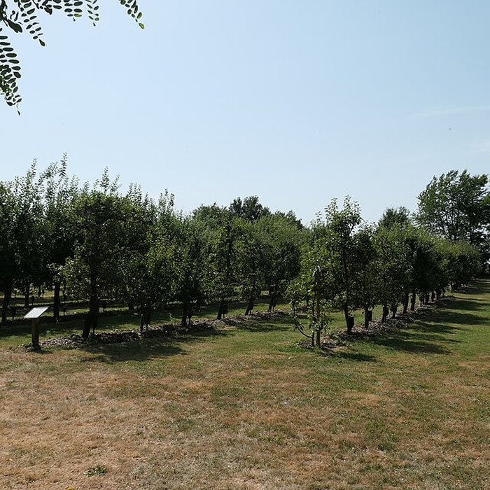 Photo de Musée Robert Tatin