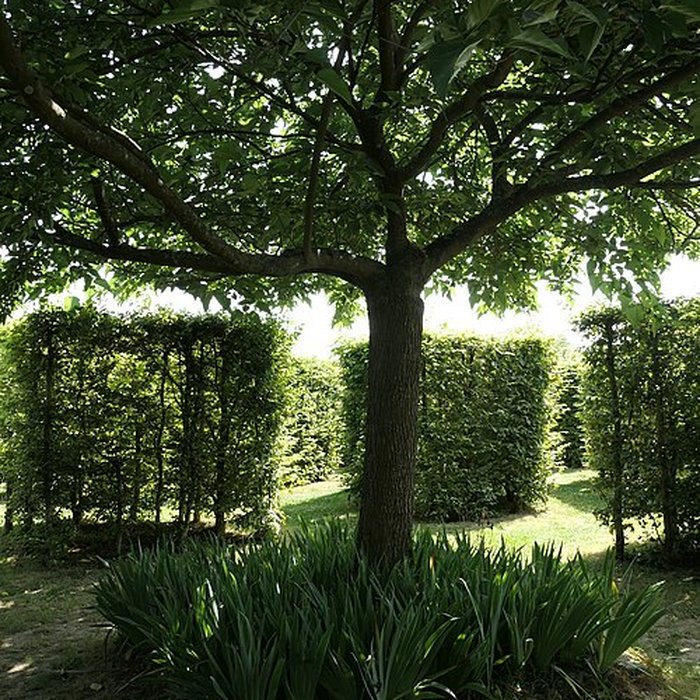 Photo de Musée Robert Tatin