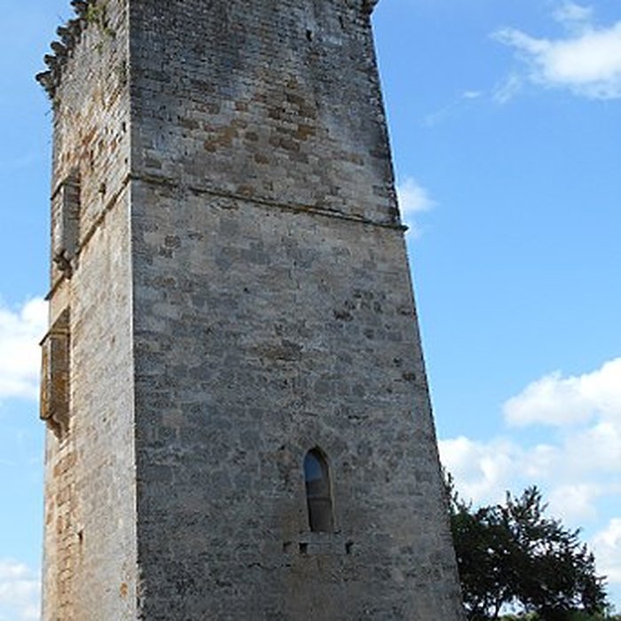 Photo de Tour dite de Chavagnac