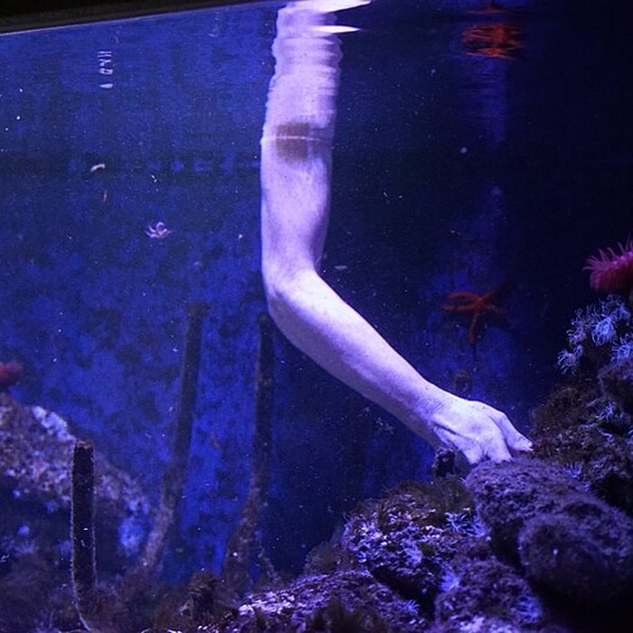 Photo de Muséum-Aquarium de Nancy