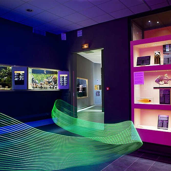 Photo de Muséum-Aquarium de Nancy