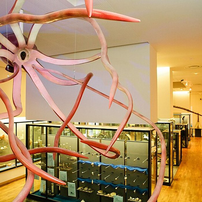 Photo de Muséum-Aquarium de Nancy