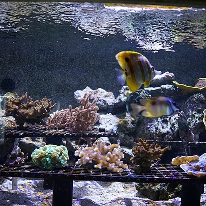 Photo de Muséum-Aquarium de Nancy