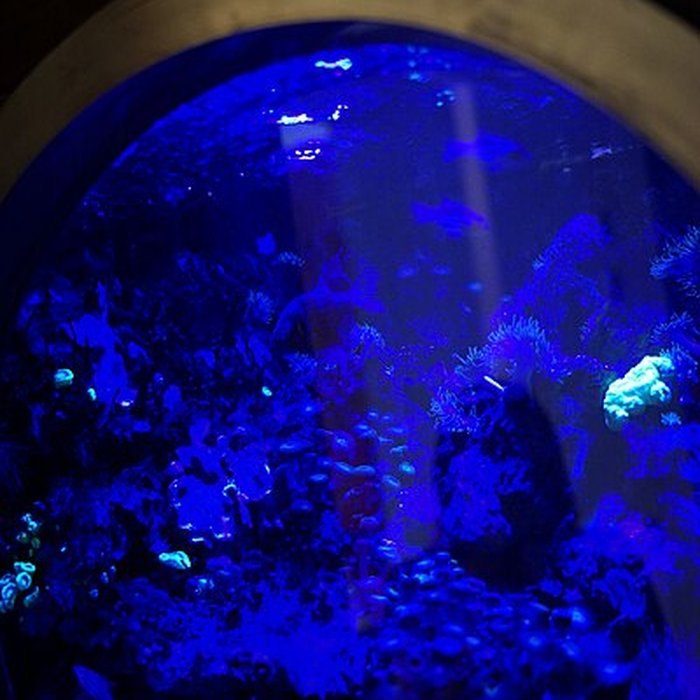 Photo de Muséum-Aquarium de Nancy