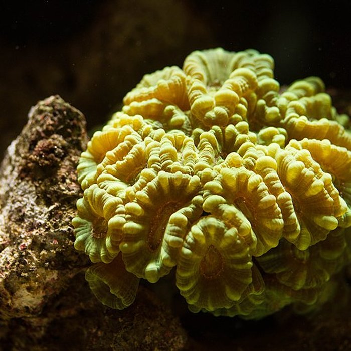 Photo de Muséum-Aquarium de Nancy