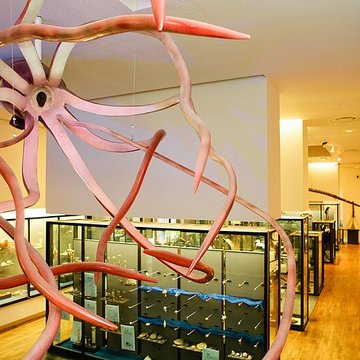 Muséum-Aquarium de Nancy